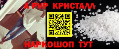 индика Пугачёв