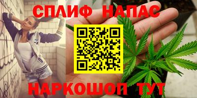 индика Пугачёв
