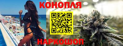 гашик Пыть-Ях