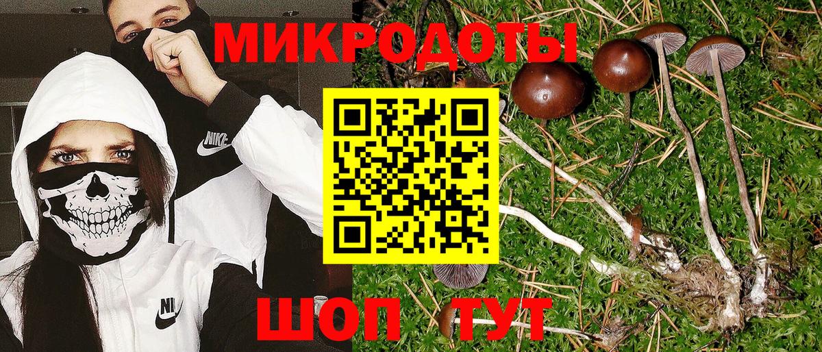 Галлюциногенные грибы прущие грибы Сердобск