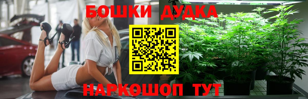 Бошки Шишки конопля Сердобск
